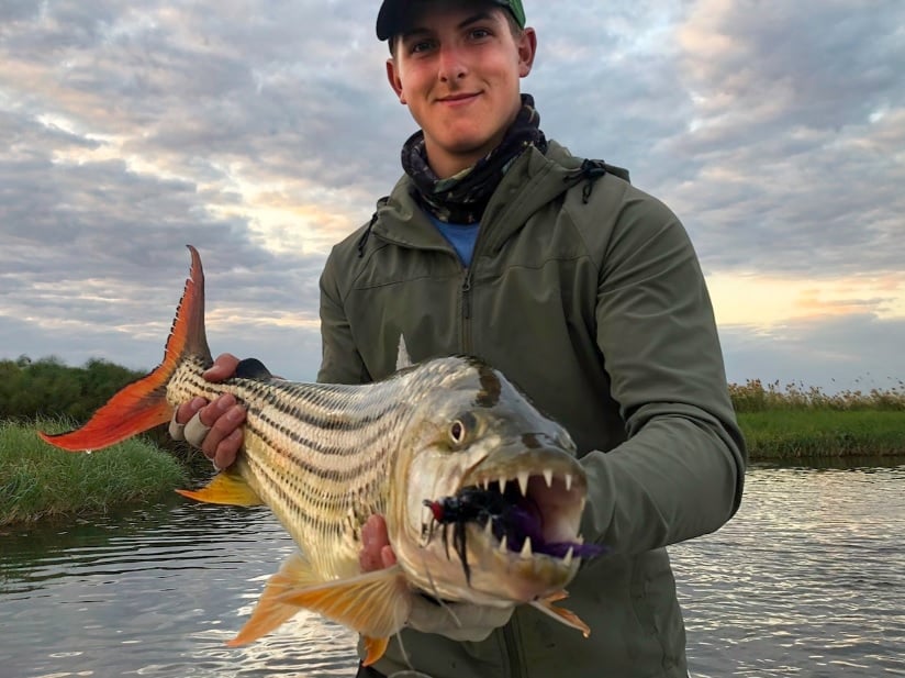 5 Day Tiger Fishing Package at Sekoma Lodge Upper Zambezi